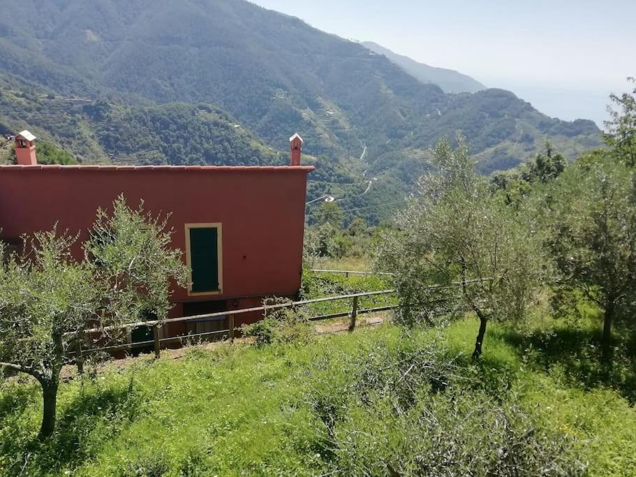 Quiet And Cozy Home With Wi-Fi Casa Prearino Vernazza Ngoại thất bức ảnh