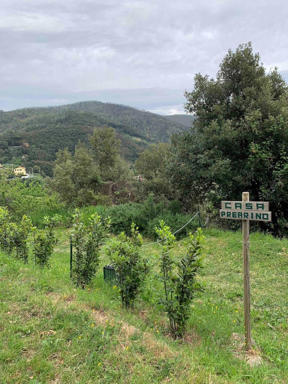 Quiet And Cozy Home With Wi-Fi Casa Prearino Vernazza Ngoại thất bức ảnh
